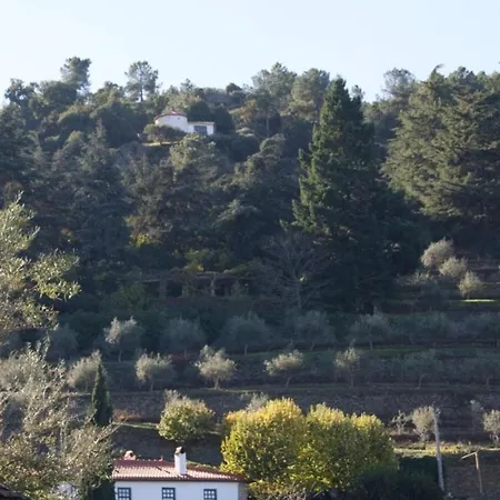 Lejlighed Quinta Das Aveleiras - House With 2 In Torre De Moncorvo, With Wonderfu...