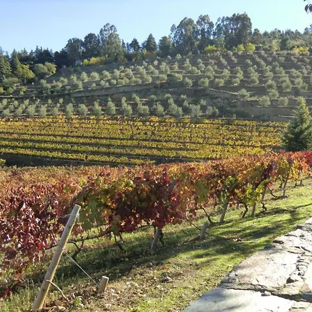 Quinta Das Aveleiras - House With 2 In Torre De Moncorvo, With Wonderfu... Torre De Moncorvo