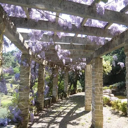 Quinta Das Aveleiras - House With 2 In Torre De Moncorvo, With Wonderfu... Lejlighed