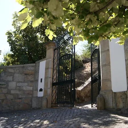 Lejlighed Quinta Das Aveleiras - House With 2 In Torre De Moncorvo, With Wonderfu... *